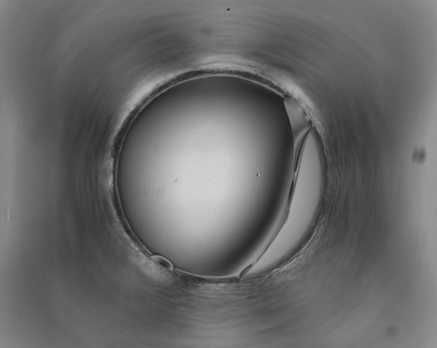 X0000090861376200708171556