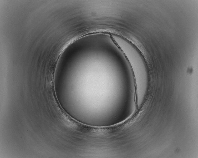 X0000090861377200708171556