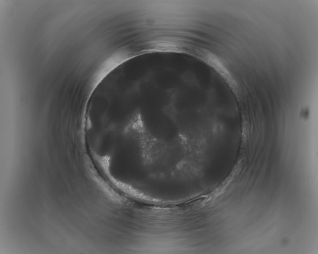 X0000090861378200708171556