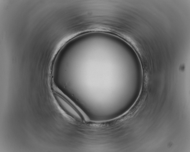 X0000090861379200708171556