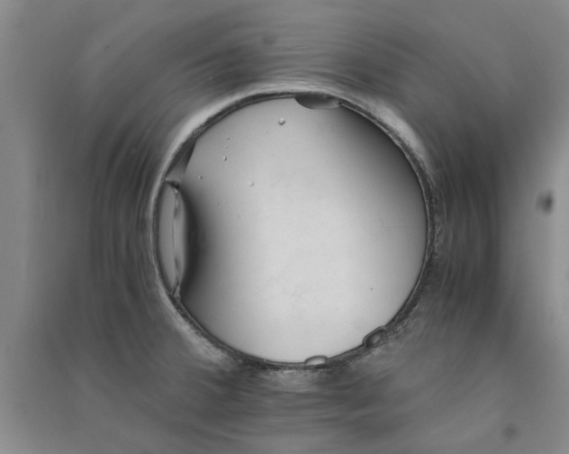 X0000090861380200708171556