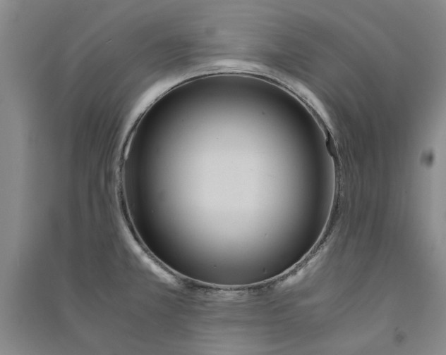 X0000090861381200708171556