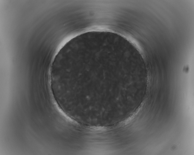 X0000090861382200708171556