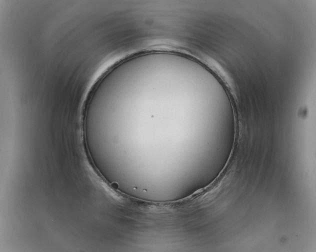X0000090861384200708171556
