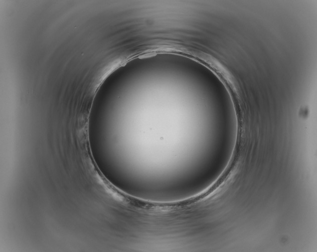 X0000090861385200708171556