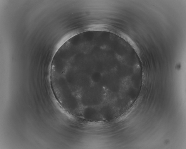 X0000090861386200708171556