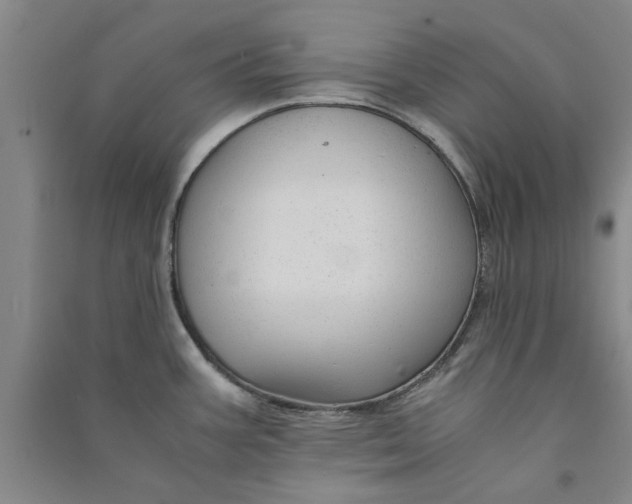 X0000090861387200708171556