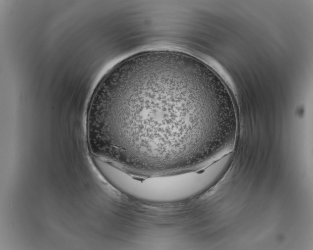X0000090861388200708171556