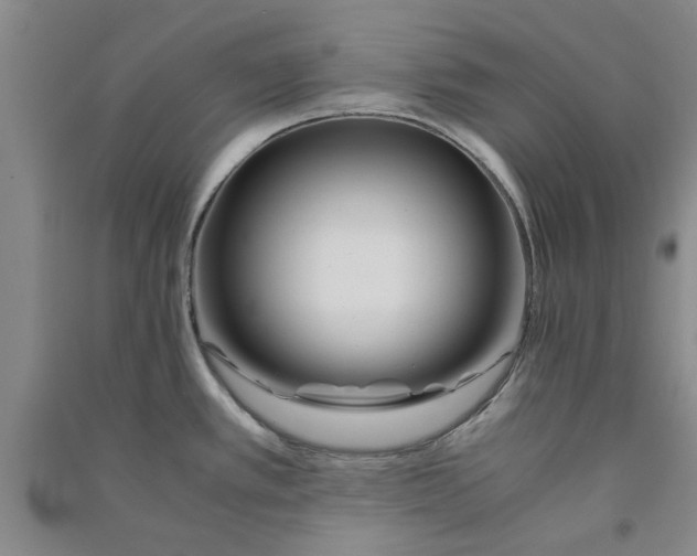 X0000090861389200708171556