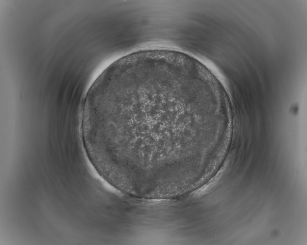 X0000090861390200708171556