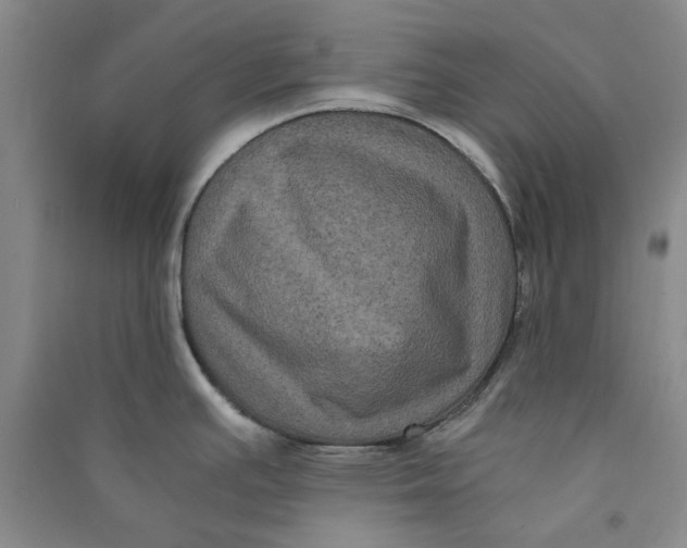X0000090861391200708171556