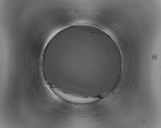 X0000090861392200708171556