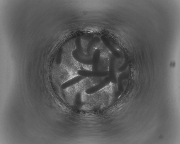X0000090861393200708171556