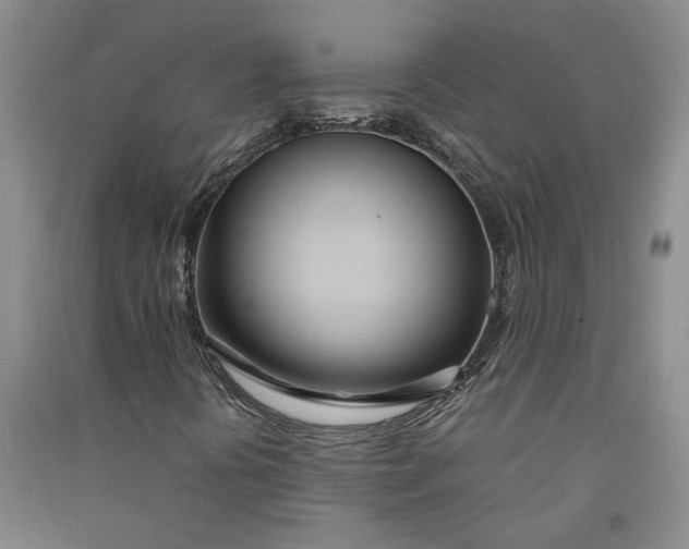 X0000090861394200708171556