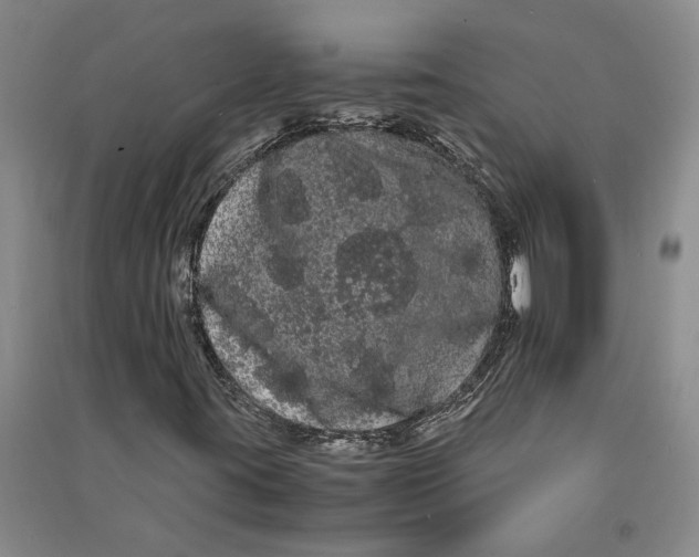 X0000090861395200708171556