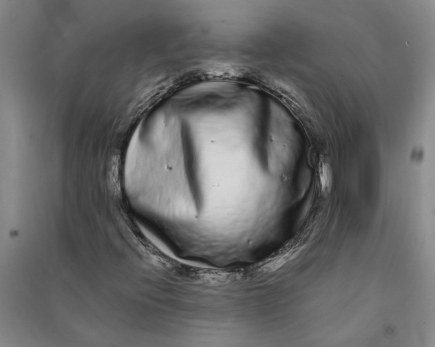 X0000090861396200708171556