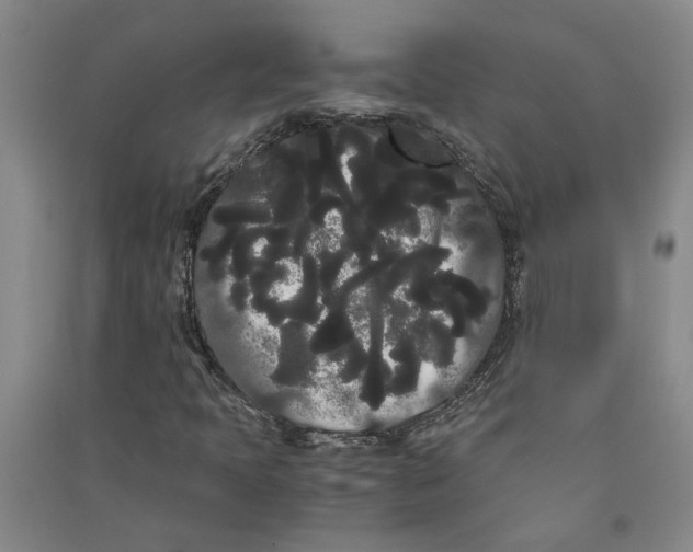 X0000090861397200708171556
