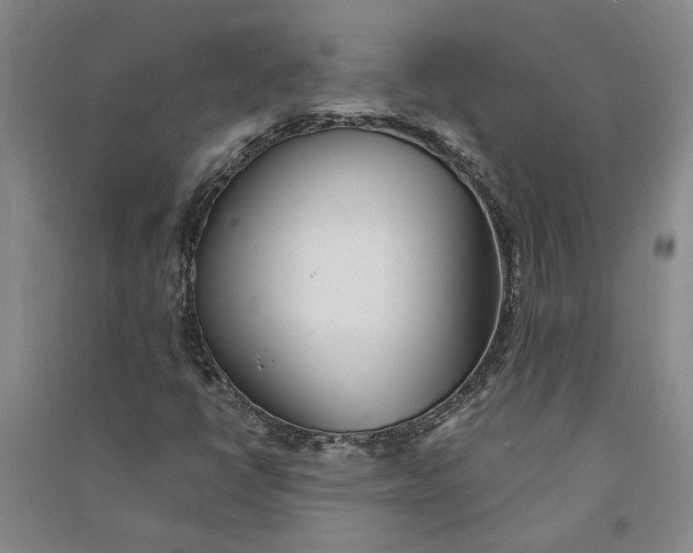 X0000090861398200708171556
