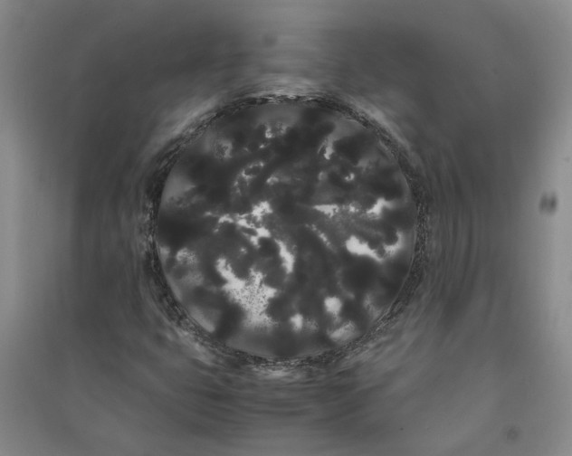 X0000090861399200708171556