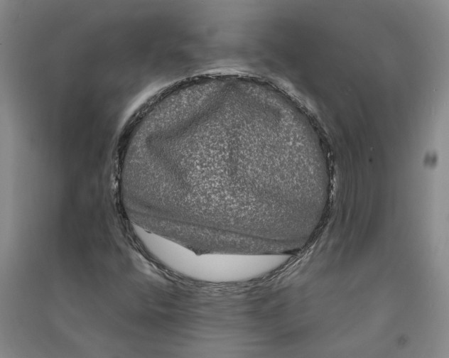 X0000090861400200708171556