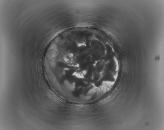 X0000090861401200708171556