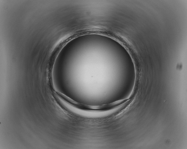 X0000090861402200708171556