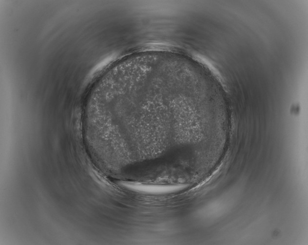 X0000090861403200708171556