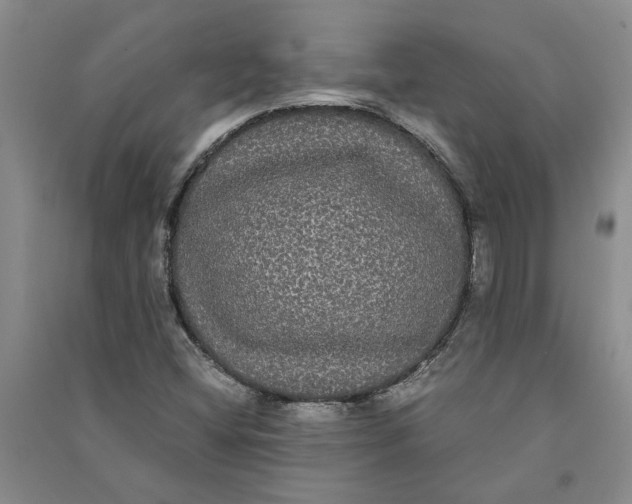 X0000090861404200708171556
