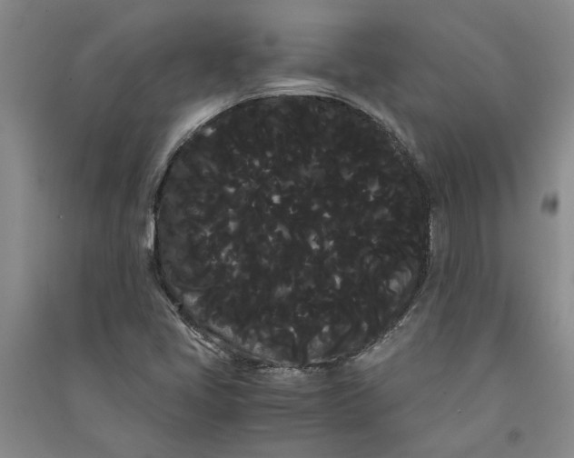 X0000090861405200708171556