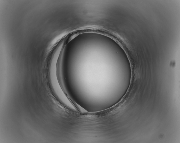 X0000090861406200708171556