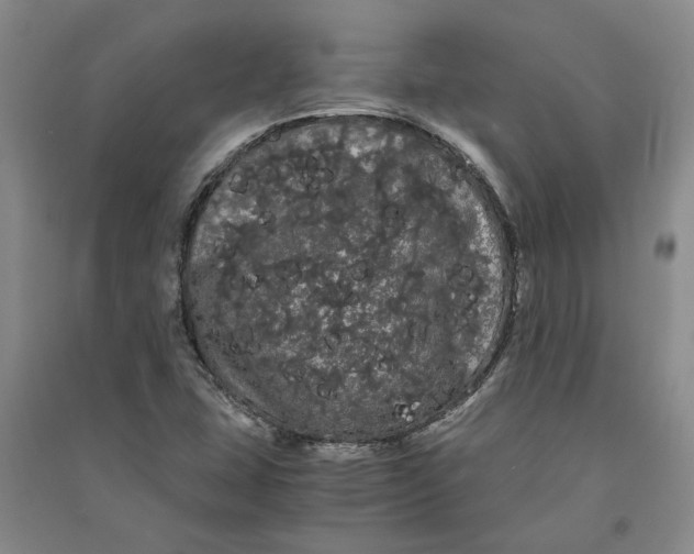 X0000090861407200708171556