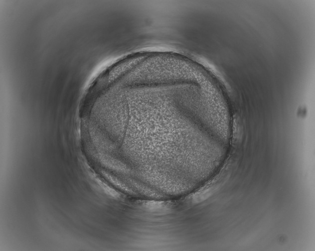X0000090861408200708171556