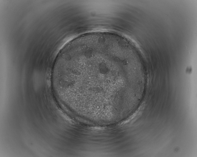 X0000090861409200708171556
