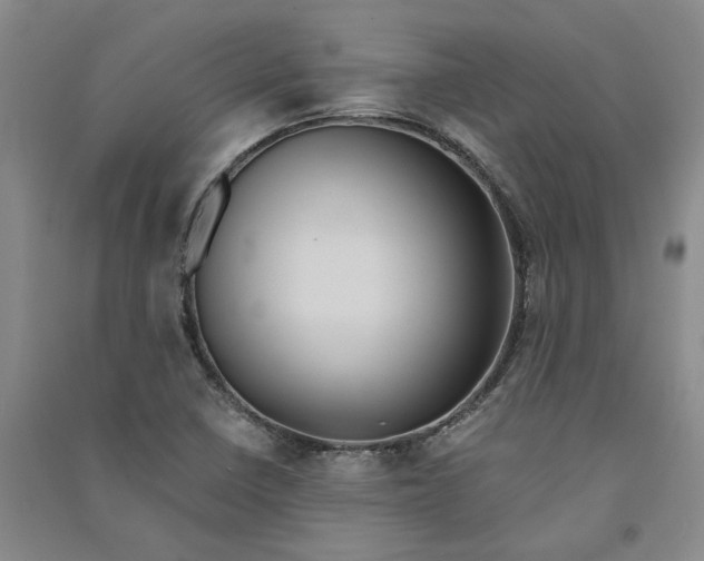 X0000090861410200708171556