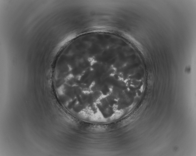 X0000090861411200708171556