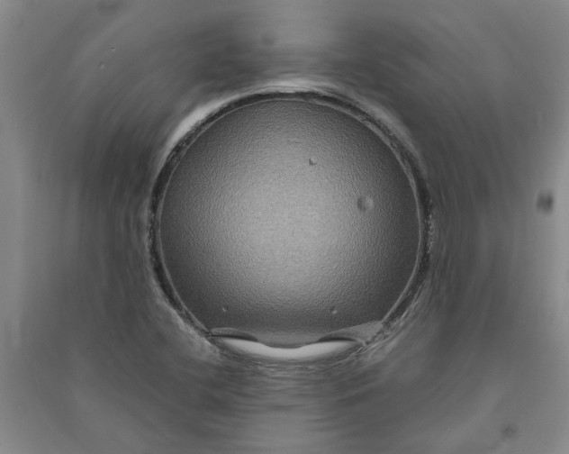 X0000090861412200708171556
