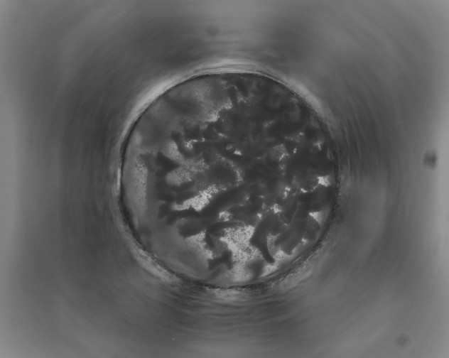 X0000090861413200708171556