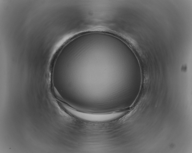 X0000090861414200708171556