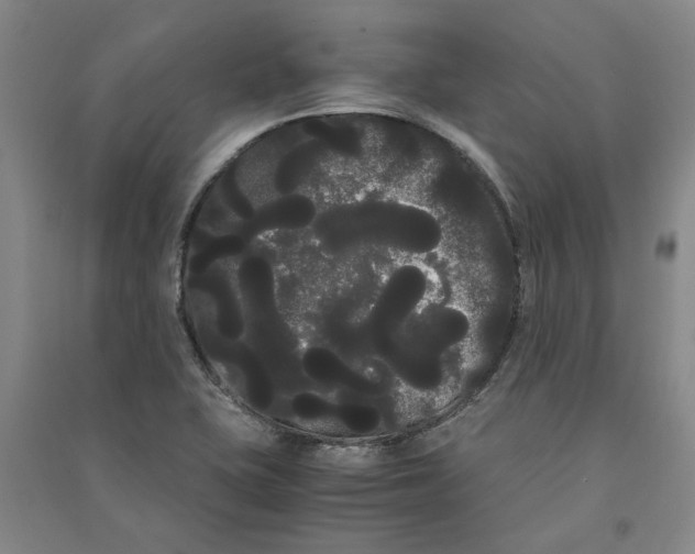 X0000090861415200708171556