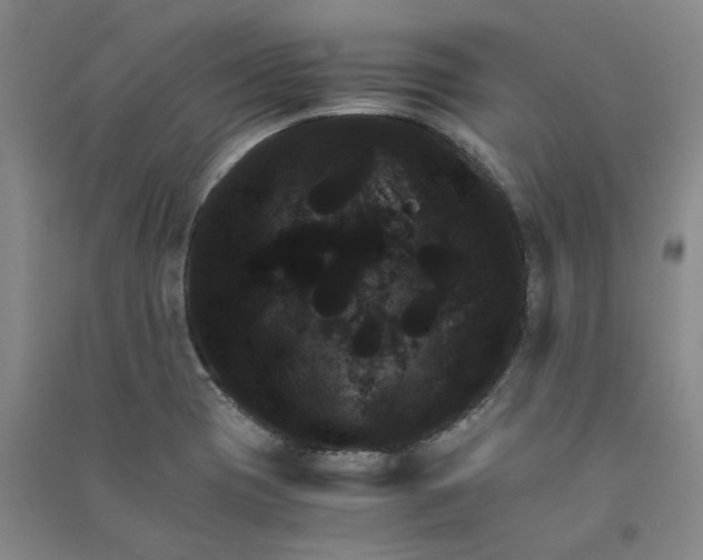 X0000090861417200708171556