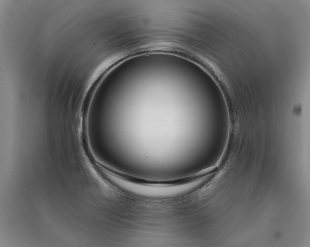 X0000090861418200708171556