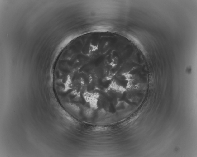 X0000090861419200708171556