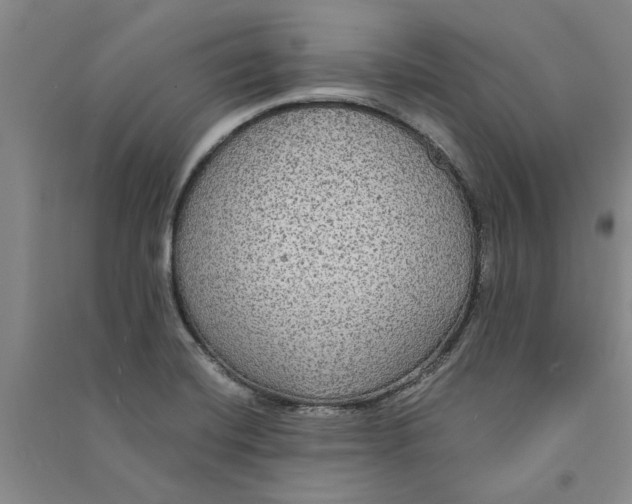 X0000090861420200708171556
