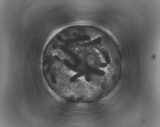 X0000090861421200708171556