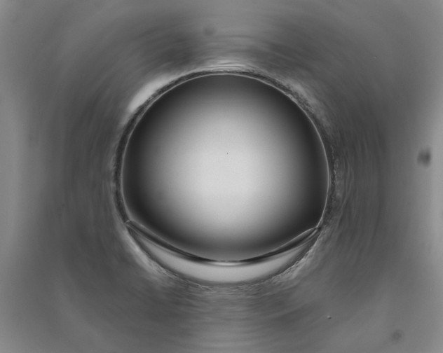 X0000090861422200708171556