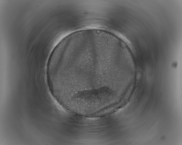 X0000090861423200708171556