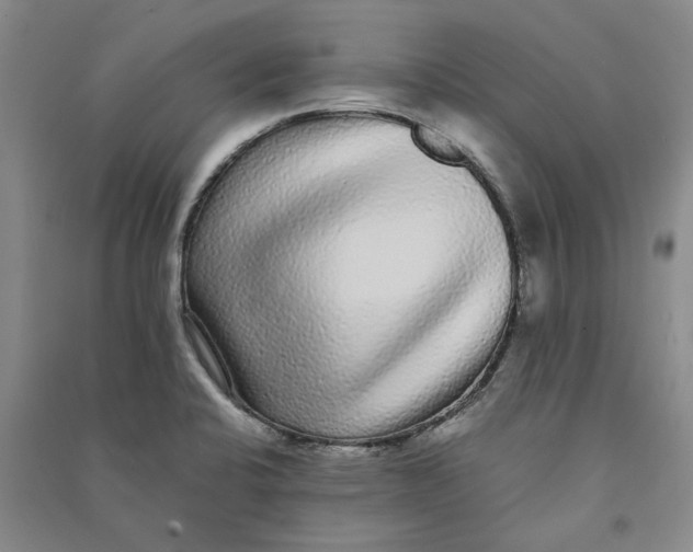 X0000090861424200708171556