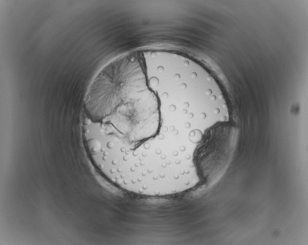 X0000090861425200708171556