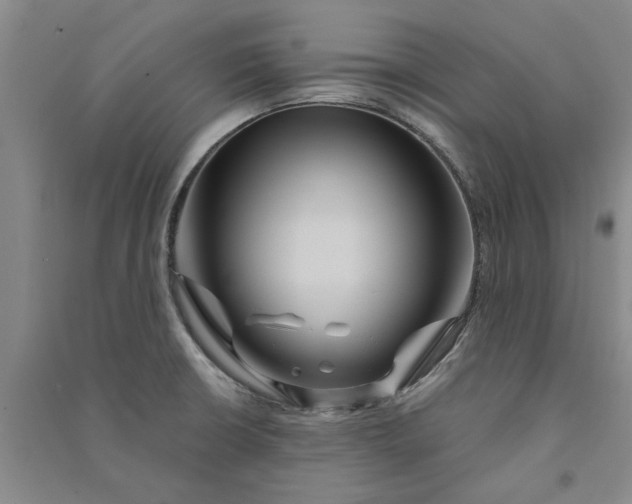 X0000090861426200708171556