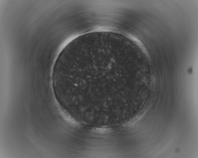 X0000090861427200708171556